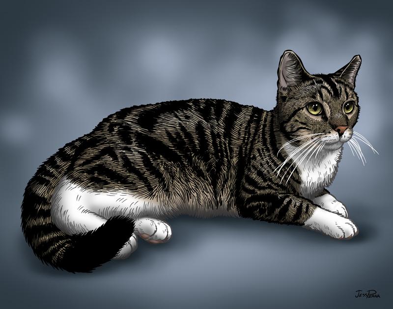 Oliver Rescue Cat Prints